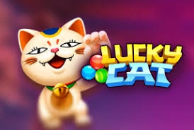 Funky : Lucky Cat - TROPICANA77